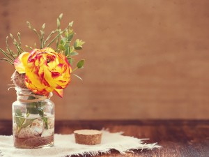 deco